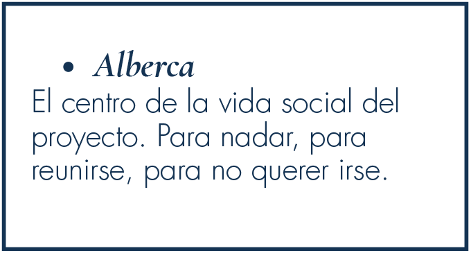 Amenidad-Alberca